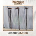ใหม่! ไม้เท้า ไม้ค้ำยันผู้สูงอายุ Wooden Walking Stick ไม้เท้าพยุง ไม้เนื้อแข็ง ไม้ตะพด น้ำหนักเบา แข็งแรง จับถนัดมือ. 