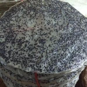 50 CÁI BÁNH TRÁNG MÈ ĐEN NƯỚC CỐT DỪA TÂY NINH THƠM NGON HẢO HẠNG