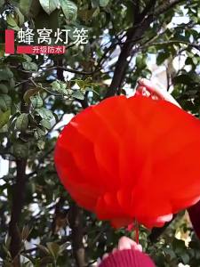 2026 New Year of the Horse Small Lantern Hanging Decoration Outdoor Door Red Honeycomb Ball Pendant Spring Festival New Year Arrangement Decoration