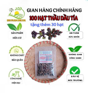 gói 100 hạt thầu dầu tía giống