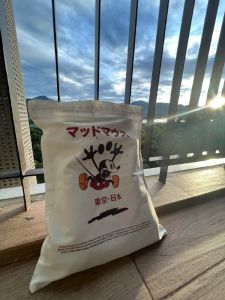 Totebag Mickey Mouse Premium Canvas Drill Real Pict Penutup Resleting