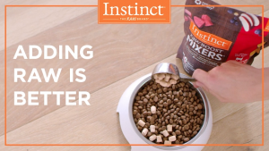 Instinct Freeze Dried Raw Boost Mixers Grain Free Skin & Coat  Cat Food Topper 156g