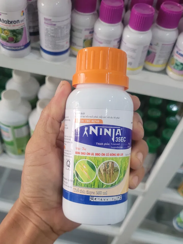 Thuốc trừ bệnh đạo ôn sụp mặt NINJA 35EC - 250ML Thuốc Trừ Sâu Cho