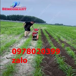 Máy xới đất  xạc cỏ Công suất làm việc 1 ngày có thể từ 4 h đến 5ha
