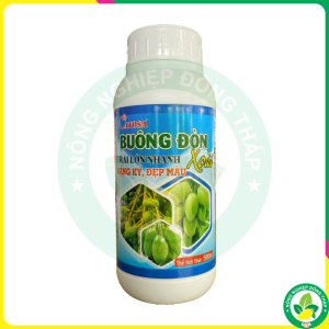 BUÔNG ĐÒN XOÀI Trái Lớn Nhanh Nặng Ký Đẹp Màu (Chai 500ml)