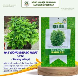 Hạt giống Rau Ngót Rado 621 (1g~40 hạt) nảy mầm tốt sinh trưởng khỏe thu hoạch nhiều lần.