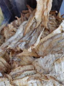 ปลาเห็ดโคน 3 รส อย่างดี เด็กๆทานได้