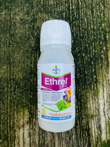 Pematang Buah ETHREL 100ml dari BAYERN INDONESIA F