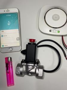 90-220Vac EU Plug WIFI Natural Gas Detector Tuya APP Push Message Coal Gas Sensor LPG Alarm NC/NO Relay Shut Off DN10/15 Valve