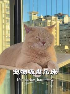 Cat hammock cat climbing frame window-mounted suction cup foldable hanging cat nest cat bed cat hammock wholesale