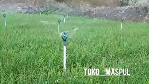 Paket isi 10 pcs SPRINKLER BIRU KOMPLIT SHOCKDRAT Alat siram tanaman taman kincir air