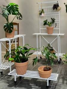 Flower Plant Stand Shelf Indoor Flower Plant Rack Outdoor Jardiniere Anti-Corrosion Wear-Resistant and Durable Flowerpot Stand Flower Rack Outdoor