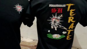Kaos PSHT Bordir: Desain & Motif Terbaru