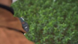 TELESIN CPL ND8 ND16 ND32 Aluminum Alloy Filter Set for DJI OSMO Action 3 4 5pro ND CPL Filter Action Camera Accessories