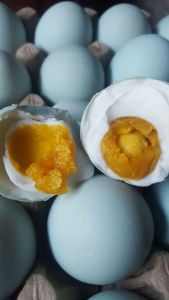 Telur ASIN CIREBON//SATU PAKET ISI 10 // 100% MASIR DAN GURIH//KHAS CIREBON