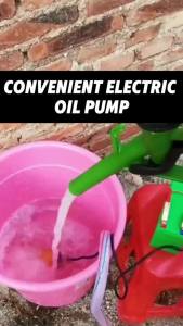 Electric Oil Pump For Auto Pumping Diesel Oil Water Submersible30L / Min Fuel Transfer Pump12V 24V