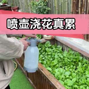 Vòi phun nước tự động đa năng điều chỉnh phun sương hệ thống phun khử trùng làm mát cho trang trại nhỏ