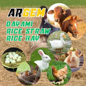 ARGEM Dayami ng Palay o Ginikan Rice Straw / Coconut Fiber Coir - Animal Bedding o Pugad for Rabbit Gunie Pig Pato Manok Baka Kabayo Ibon