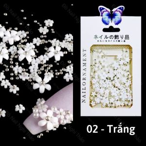 Set khoảng 100c Charm Hoa Mai Thuỷ Tinh Trang Trí Design Nail Siêu Đẹp [ 𝐓𝐔́ 𝐀𝐍𝐇 𝐍𝐀𝐈𝐋 ]