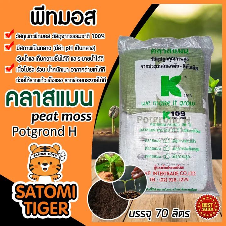 แนะนำพีทมอสยอดนิยม 2026: เลือกแบบไหนดีให้ต้นไม้โตไว รากแข็งแรง!