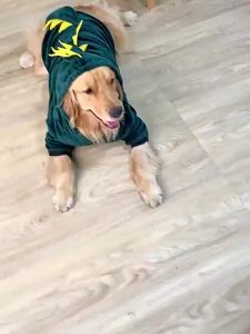 10kg-30kg large dog clothes Lador clothes Golden Retriever clothes change becoming tiger and dinosaur cosplay clothes wa dog clothes winter