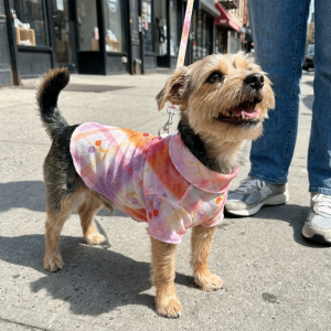 BANZU Thin Breathable Dog Sunscreen Clothes Soft Cooling Pet T-Shirt Summer with D-Ring Dog Mesh Vest For Cats Dogs