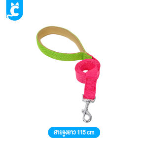 Doglemi ปลอกคอสุนัข สีพาสเทล ปลอกคอสัตว์เลี้ยง ปลอกคอแมว สายจูงสุนัข Dog Collar CleverPet