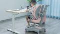 Ghế Công Thái Học Chống Gù Trẻ Em BioKids. 