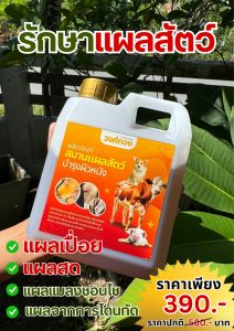 WT รีวิว จากผู้ใช้จริง!! สเปรย์พ่นแผลสัตว์ ขนาด 1 ลิตร แผลสด แผลอักเสบ แผลเปื่อย สัตว์สามารถเลียได้ ปลอดภัย ไม่เป็นอันตราย ป้องกันเห็บหมัด น้ำยาวงศ์ทอง