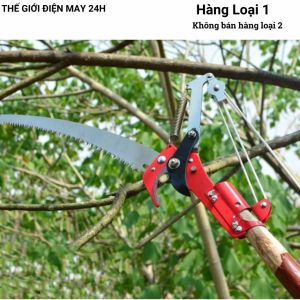 Đầu kéo tỉa cành cắt cành cây trên caohái quả kết hợp cưa cành