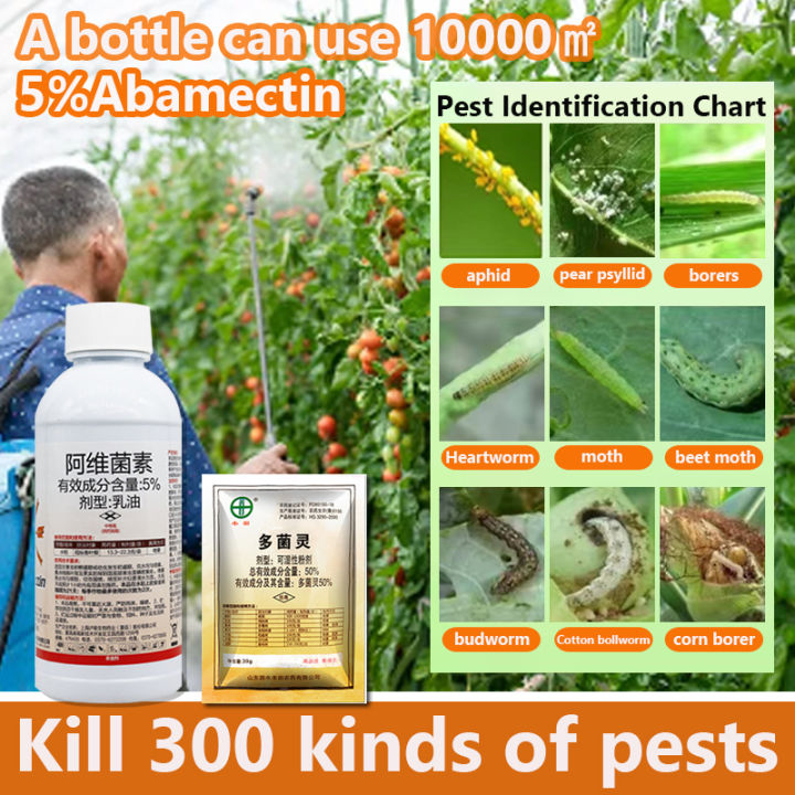 100ml 🍅Kill all pests🐛Insecticide for vegetables No harm to plants