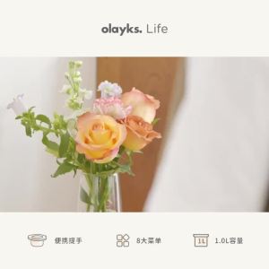 olayks Electric Stewpot Birds Nest Stewpot Soup Pot Fantastic Congee Cooker Household Stewing out of Water Electric Stew Pot Baby Food Pot