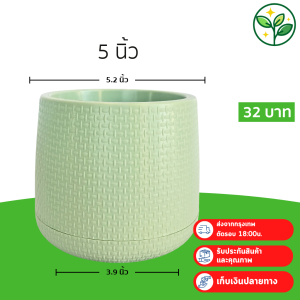 กระถาง กระถางต้นไม้ มินิมอล เบลล่า เบอร์ 5 นิ้ว สีดำ สีขาว เทา เขียว Bundle 5 ใบ ชิ้น อัน