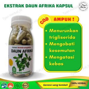 Obat Menurunkan Kolesterol Darah Tinggi Asam Urat Daun Afrika Jamu Herbal Kapsul Isi 50