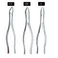 Adult Tooth Extracting Forceps Extraction Pliers Dental Instrument. 