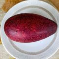 Bibit Alpukat Red Vietnam Import  Hasi Okulasi I pusat tanaman buah buahan pendek bisa berbuah dalam pot. 