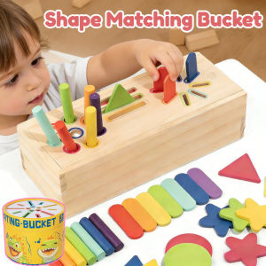 Wooden Color Sorting Toy for Kids Shape Matching Bucket with Sensory Puzzle Educational Learning Toy