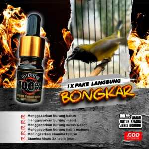 DOPING 100% SUPLEMEN PENGGACOR BURUNG MURAIKACERPENTETKOLIBRIPLECISOGON