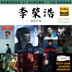 [115首] USB Pendrive Music 音乐USB 李荣浩国语专辑 mp3 超高音质 16gb 流畅播放 Ronghao Li Songs 车载音乐