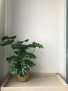 🔥ราคาถูกที่สุด🔥ต้นไม้มงคล ต้นไม้ปลอม ต้นไม้ประดิษฐ์ต้นไม้ปลอมพร้อมส่งทุกต้น!!