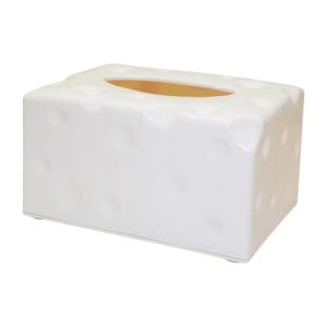 Playful Kitchen Tissue Dispenser With Recyclable Plastic Construction Decorative Household Paper Towel Organizer