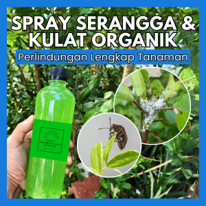 Spray Serangga & Kulat Organik Untuk Pokok Pembasmi Serangga & Kulat Organik Pokok & Tanaman BIOCONV