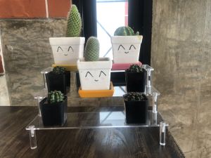 ชั้นอะคริลิค วางสินค้า วางฟิกเกอร์ สีใส แผ่นชั้นลึก 8 cm พร้อมส่ง