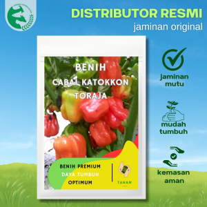 40 Benih Cabai Pedas Katokkon Tanam Seed Cabe Toraja Katokon Lebat Tahan Simpan