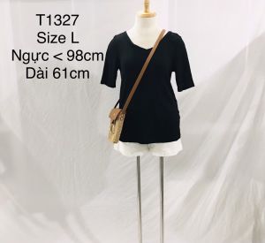Áo Thun Nữ (Hàng Tuyển Loại I ) Hàng Si Nhật Hàn Chất Cotton Cho Mùa Hè
