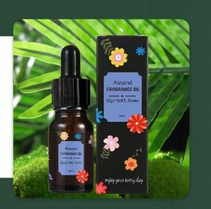 ESSENTIAL OIL Fragrance Oils Aromatherapy Diffusers Humidifier Pengharum Ruangan