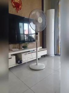 Electric Standing Fan Strong Wind Standing Fan Cooling Fan Business Fan Vertical Fan Timing Electric Standing Fan Strong Wind