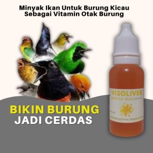 Visoliver Minyak Ikan Untuk Burung Kicau Sebagai Vitamin Otak Burung Murai Batu Perkutut Dll