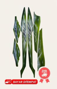 STIKER STRIPING MOTOR MIO 2009