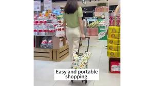 Foldable Grocery Bag Market Trolley Cart Shopping Cart Trolley Bag For Woman Keep